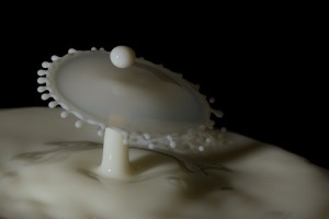 melkproducten
