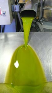 olijfolie persen